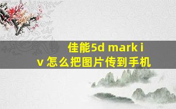 佳能5d mark iv 怎么把图片传到手机